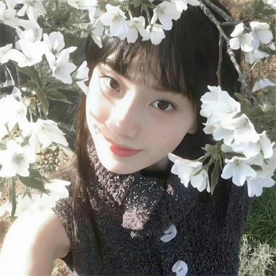 离狼之歌