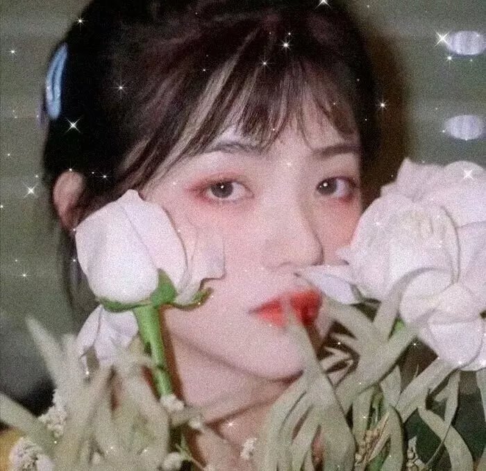 我叫白小飞
